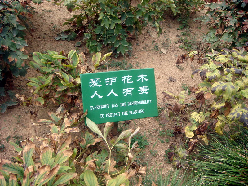 Image: /media/?path=/trips/2007-08-13 China/Engrish/20070824-104118-0-Joe.jpg